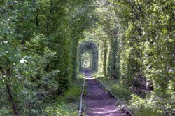 Тоннель Любви возле Ровно