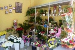 Цветы и букеты с доставкой в Йошкар-Оле